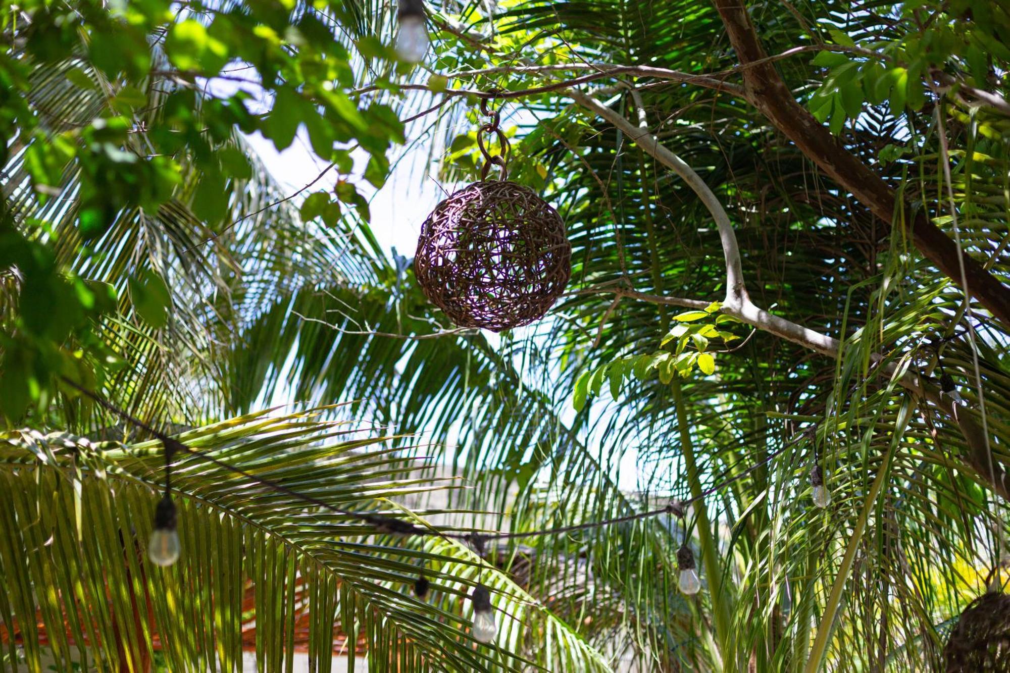 Blue Cat Mérida Exterior foto
